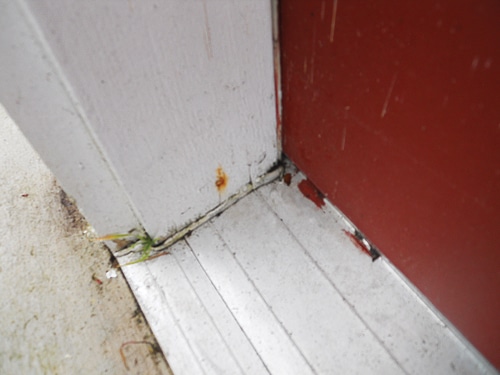 05-Doors.jpg