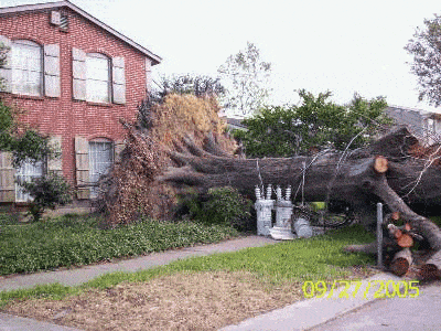 100_1547.gif