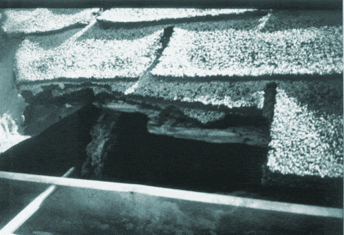 AEW-Roof.gif