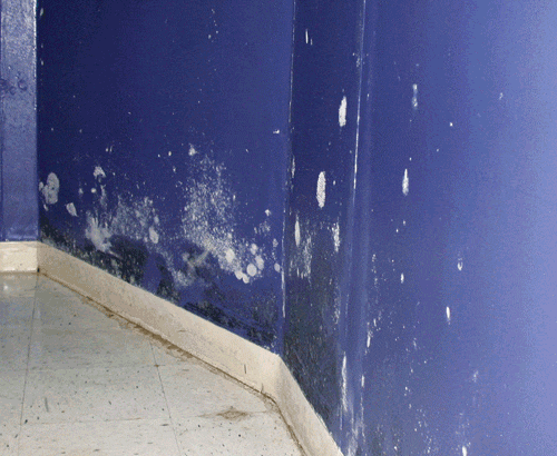 ATT00234.gif