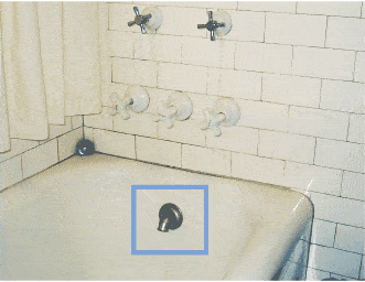 Bath1.gif