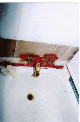 bathtub.gif