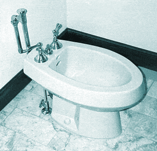 Bidet1.gif