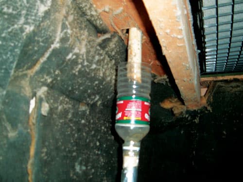 bottle.jpg