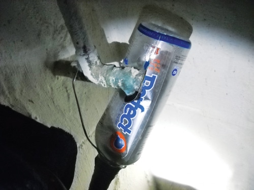 bottle.jpg