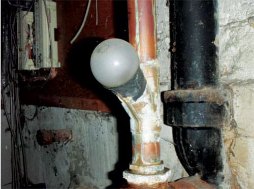 bulb.jpg