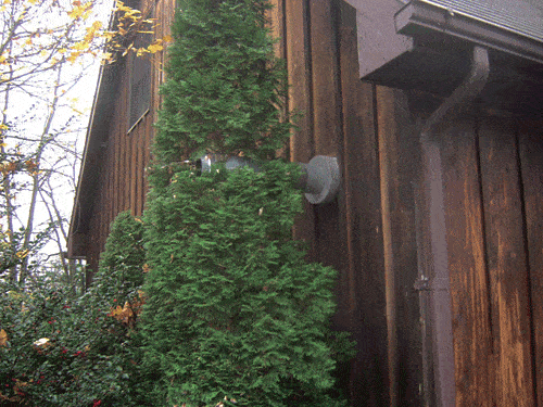 Camo-Chimney.gif