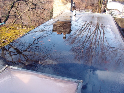 CarsonDunlop-Ponding.jpg