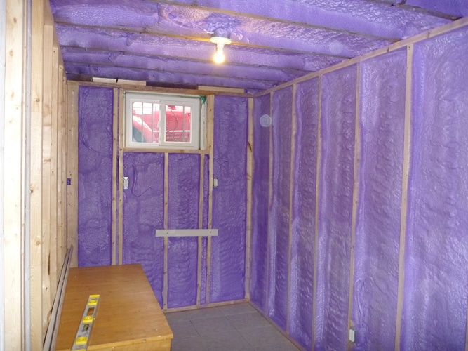 CarsonDunlop2-WaltightSprayFoam.jpg