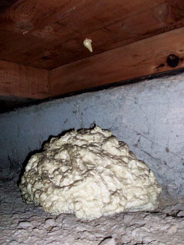 caulk.jpg