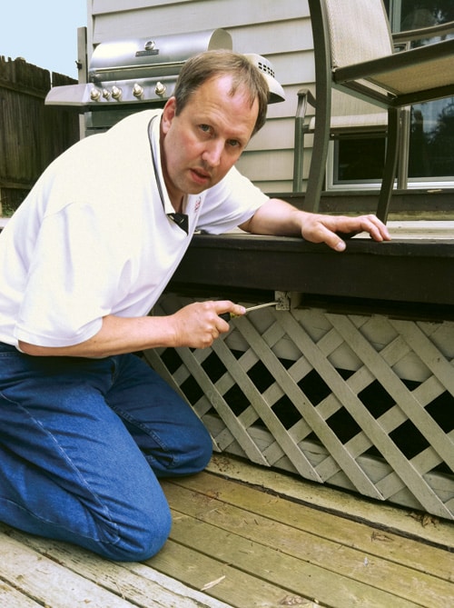 DarrellHay.jpg