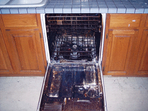 dishwasher.gif
