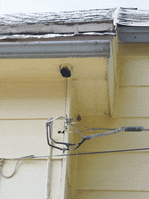 downspout.gif