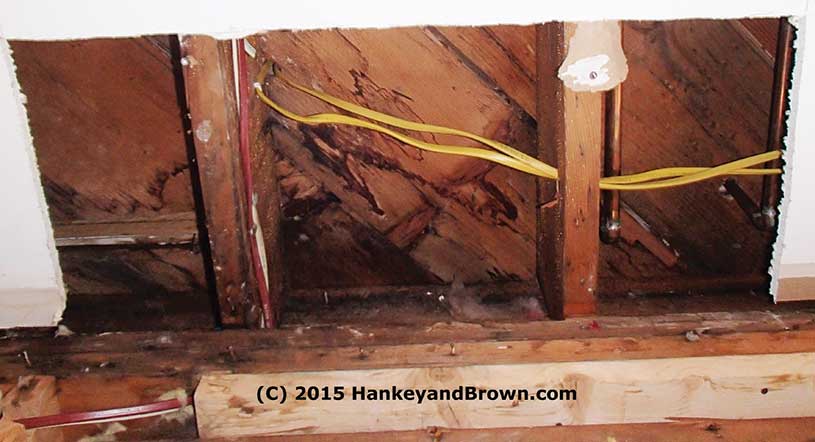 Drip---water-damage-location.jpg