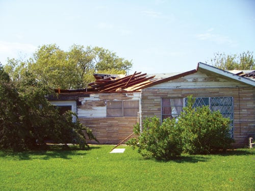 DSCF2915.jpg