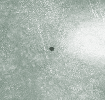 EPDMWetSpot.gif