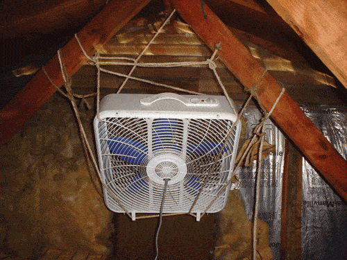 fan.gif