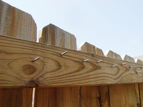 fence.jpg
