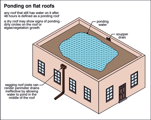 fig 1 Flat roofs.jpg