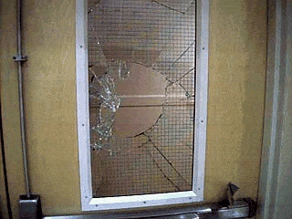 Figure03VisionPane-Abel.gif