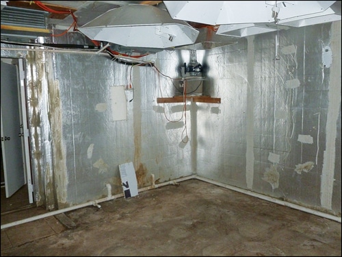 grow-room.jpg