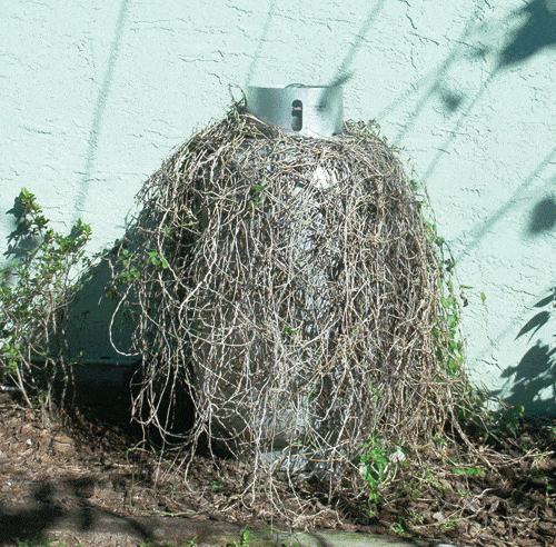 HousePics-009.gif