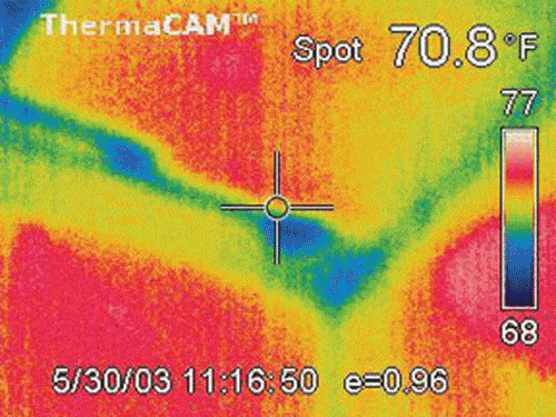 image-9.gif