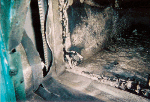 Image_0002.gif