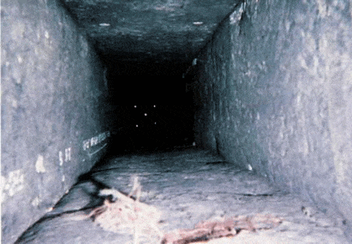 Image_0004.gif