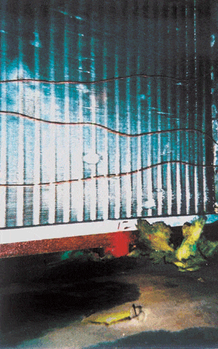 Image_0005.gif
