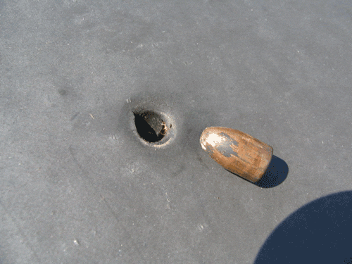 IMG_2323.gif