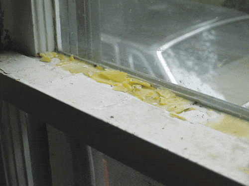 IMG_3571.gif