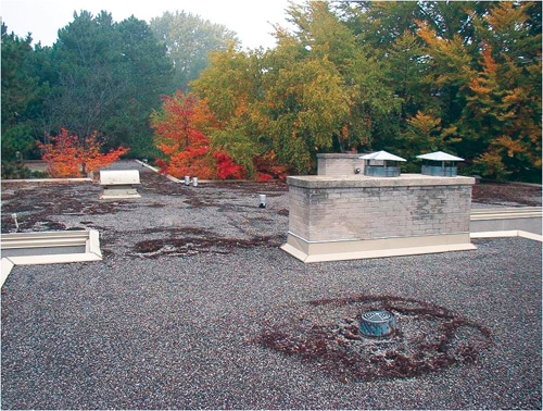 Interior Drainage.jpg