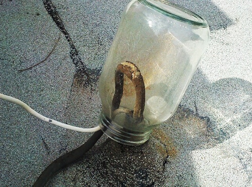 jar.jpg