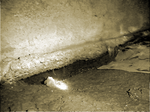 JUNE03PostcardFootings1.gif