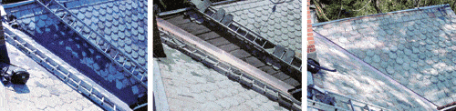 Lang-valley-collage.gif