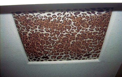 leopard.jpg