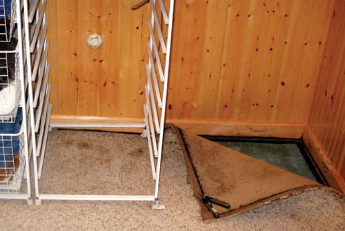 MMCloset-wet-carpet-2.jpg