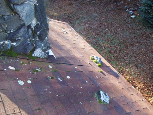moss.jpg