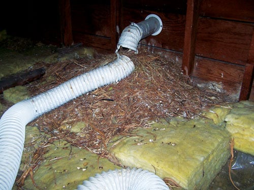 nest.jpg