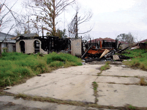 NOLA1.gif