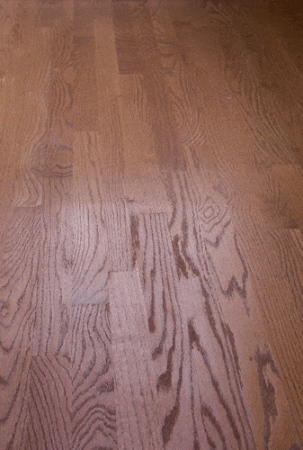 Oak.gif