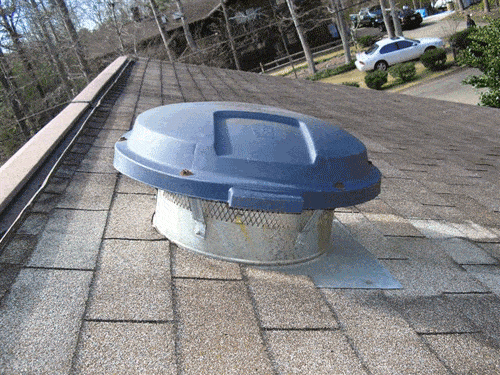 P2240025.gif