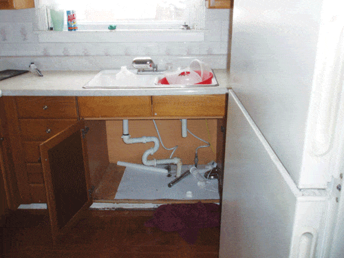 P8250696.gif