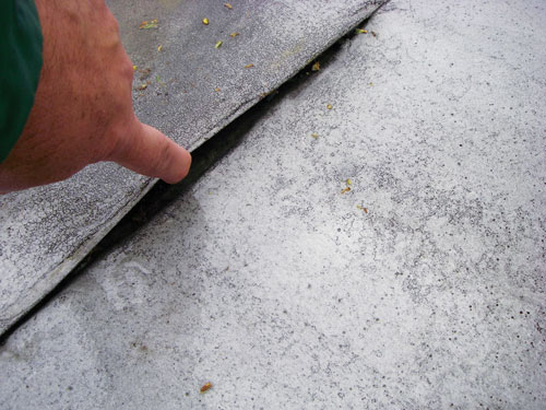 Photo10.jpg