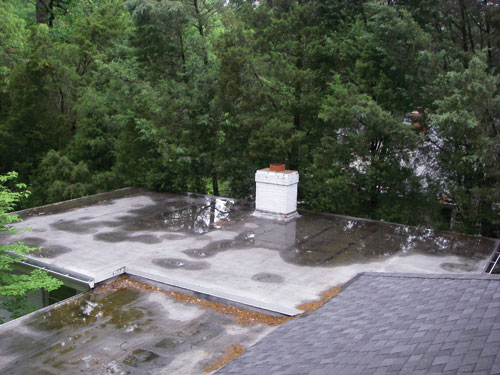 Photo11.jpg
