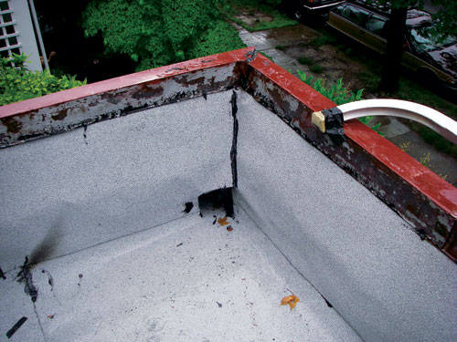 Photo7.jpg