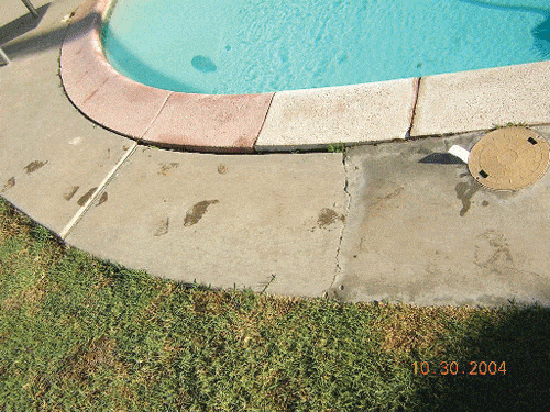 Pool1.gif