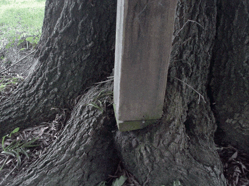 post.gif