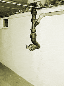 Post-septic.gif